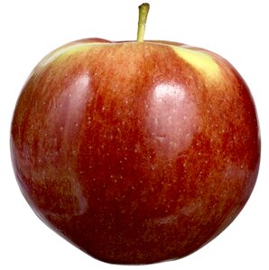 Apple food delicious