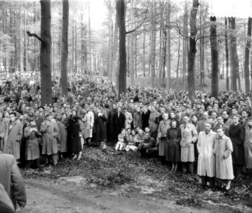 Opdracht congres, Musis Sacrum Arnhem, Bestanddeelnr 907-1469