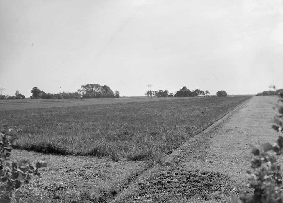 Ontginning, vee in de weide, algemene beelden, turfsteekreportage, gronden, Bestanddeelnr 160-0036