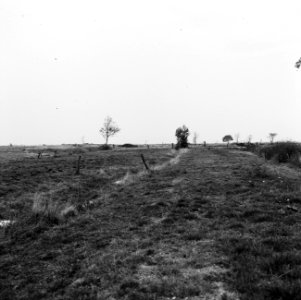 Ontginning, grondbewerking, egaliseren, bezanden, ruilverkavelingen, graslanden, Bestanddeelnr 159-0654