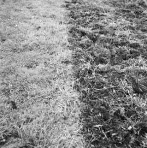 Ontginning, grondbewerking, egaliseren, bezanden, ruilverkavelingen, scheidingsl, Bestanddeelnr 159-0331