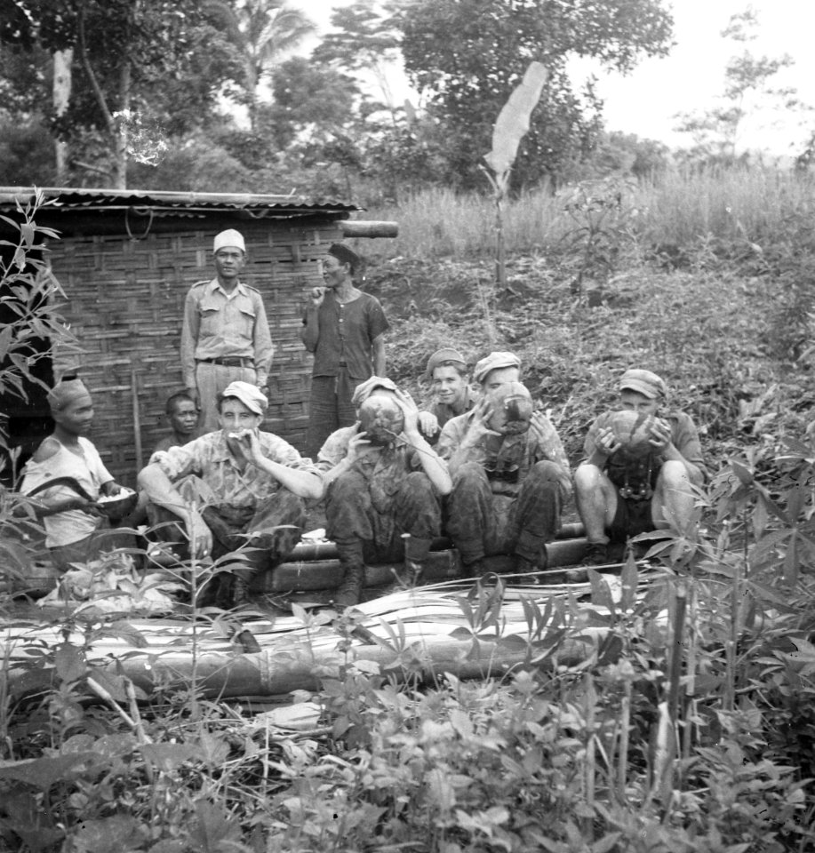 Oost-Java. Jongens van 4-5 R.I. op patrouille. In tijgerpakken de sergeant Bo, Bestanddeelnr 12889