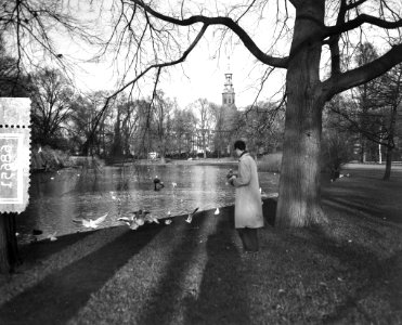 Oosterpark doodkijkje vogels voeren, Bestanddeelnr 906-8651