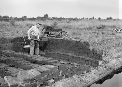 Ontginning, vee in de weide, algemene beelden, turfsteekreportage, arbeiders, De, Bestanddeelnr 160-0043
