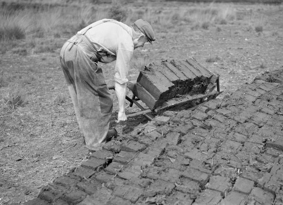 Ontginning, vee in de weide, algemene beelden, turfsteekreportage, arbeiders, De, Bestanddeelnr 160-0001