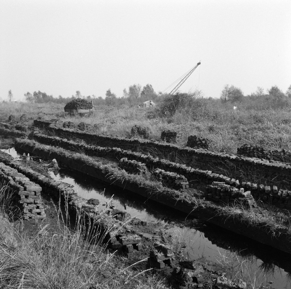 Ontginning, grondbewerking, egaliseren, bezanden, westerveenweg, Bestanddeelnr 250-8011