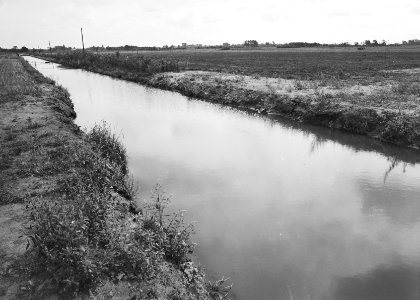 Ontginning, grondbewerking, egaliseren, bezanden, vaarsloten, Ringpolder, Westfr, Bestanddeelnr 159-0383