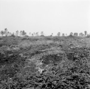 Ontginning, grondbewerking, egaliseren, bezanden, westerveenweg, Bestanddeelnr 250-8010