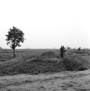 Ontginning, grondbewerking, egaliseren, bezanden, ruilverkavelingen, graslanden,, Bestanddeelnr 159-0655