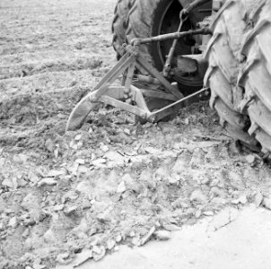 Ontginning, grondbewerking, egaliseren, bezanden, tractoren, woelers, ferguson w, Bestanddeelnr 159-0753