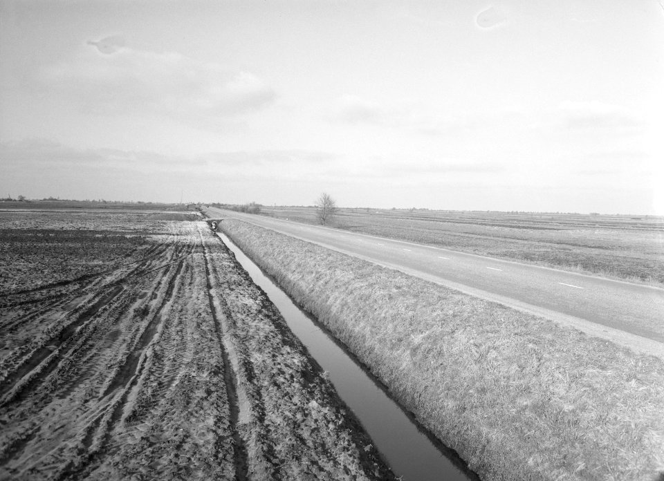 Ontginning, grondbewerking, egaliseren, bezanden, Westerhaar, Bestanddeelnr 159-0243