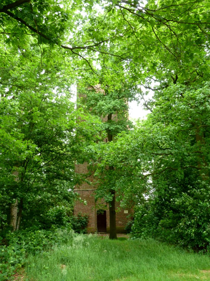 Oostelbeers-Oude Toren (2)