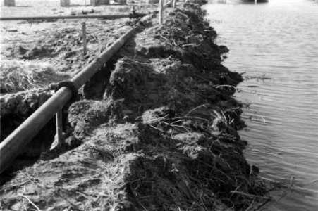 Ontginningen, grondbewerking, egaliseren, bezanden, diepspitten, bronbemaling, b, Bestanddeelnr 170-0621