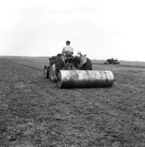 Ontginning, grondbewerking, egaliseren, bezanden, ruilverkavelingen, tractoren, , Bestanddeelnr 159-0333