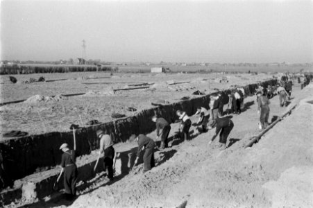 Ontginningen, grondbewerking, egaliseren, bezanden, arbeiders, diepspitten, bron, Bestanddeelnr 170-0614