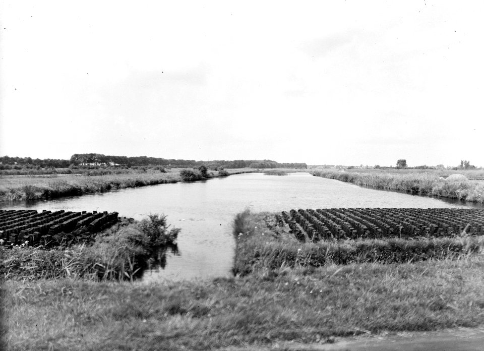 Ontginningen , de linde, Bestanddeelnr 192-0889