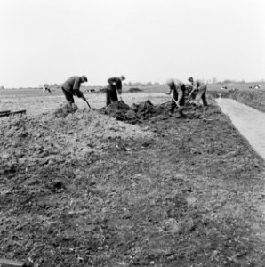 Ontginning, grondbewerking, egaliseren, bezanden, Sintjohannesga, Bestanddeelnr 250-8246