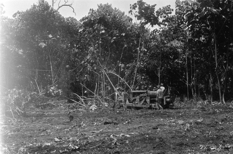 Ontginning van bosgebied, Bestanddeelnr 1959