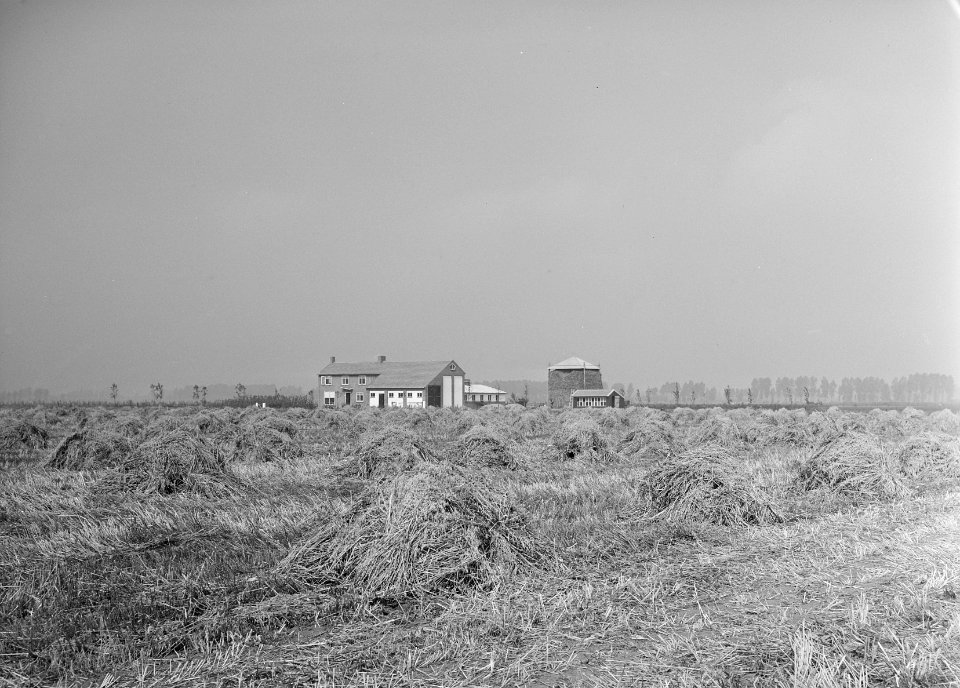 Ontginning Maas en Waal Boerderij Van Bruggen, Bestanddeelnr 160-0200