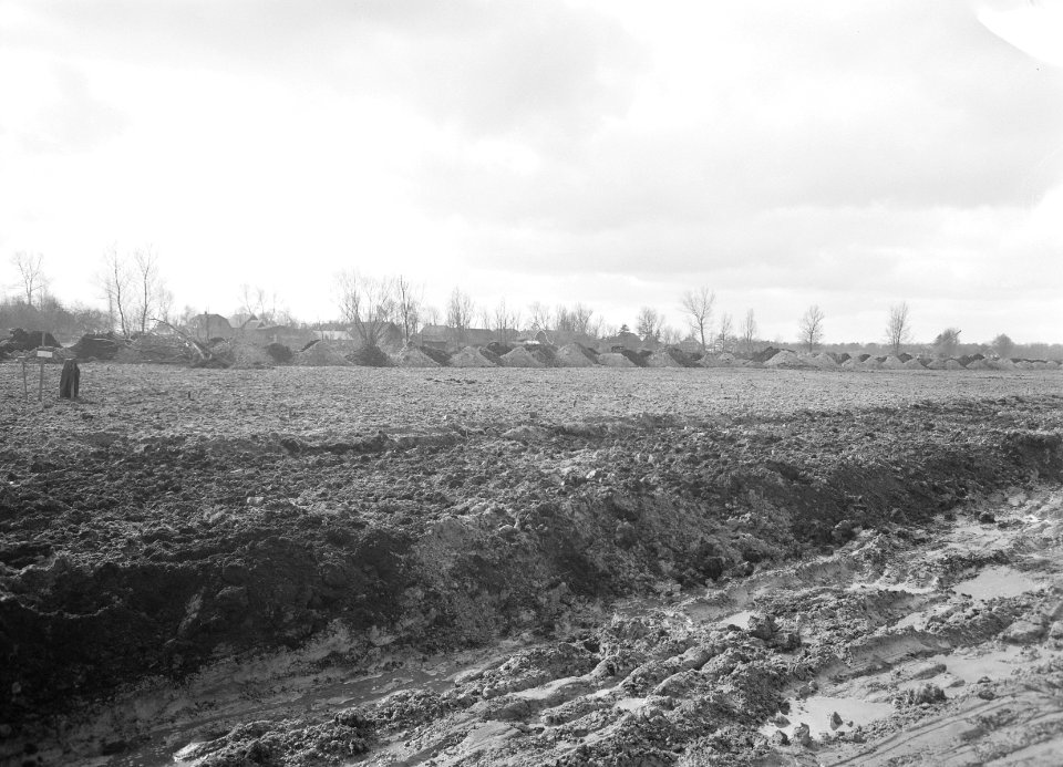 Ontginning, grondbewerking, egaliseren, bezanden, westerhoeven, Bestanddeelnr 159-0242