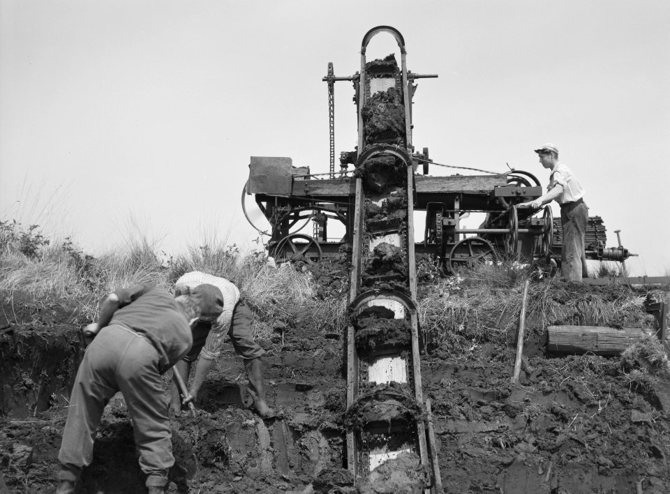 Ontginning, vee in de weide, algemene beelden, turfsteekreportage, arbeiders, De, Bestanddeelnr 160-0050