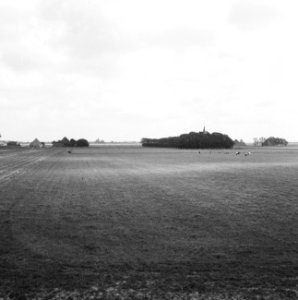 Ontginning, grondbewerking, egaliseren, bezanden, ruilverkavelingen, graslanden,, Bestanddeelnr 159-0723