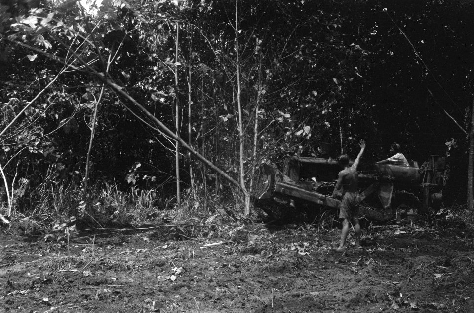 Ontginning van bosgebied, Bestanddeelnr 1960