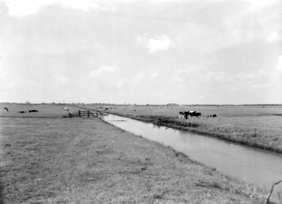Ontginningen , de linde, Bestanddeelnr 192-0891