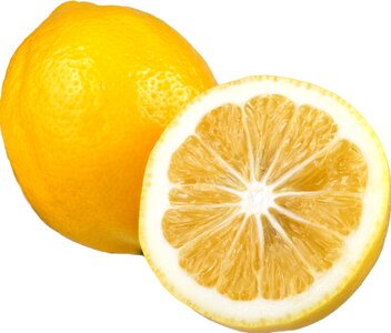 Citrus slice fresh photo