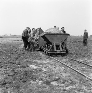 Ontginning, grondbewerking, egaliseren, bezanden, Sintjohannesga, Bestanddeelnr 250-8245