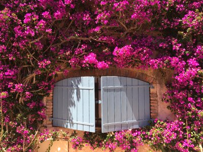 Flower decor decorative