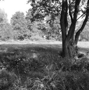 Ontginning, grondbewerking, egaliseren, bezanden, ruilverkavelingen, woeste gron, Bestanddeelnr 159-0743