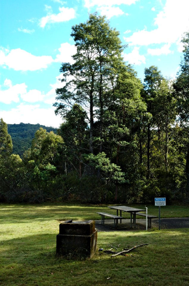 ONeils-Creek-picnic-area-20070422-019