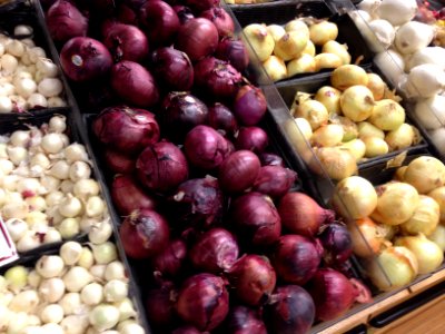 Onions on Display