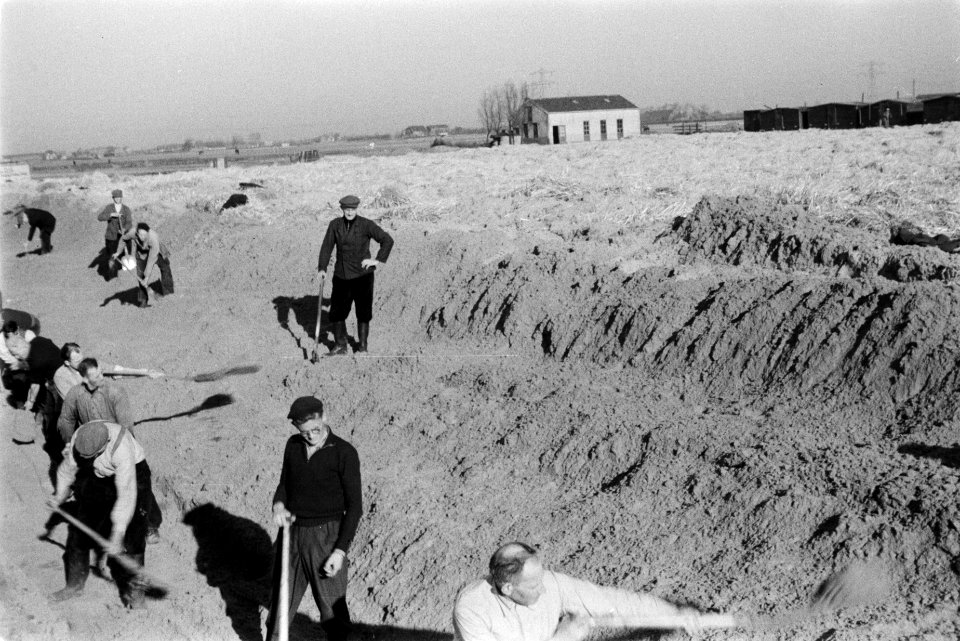 Ontginningen, grondbewerking, egaliseren, bezanden, diepspitten, bronbemaling, b, Bestanddeelnr 170-0616