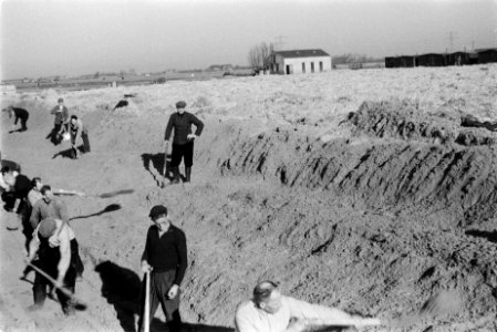 Ontginningen, grondbewerking, egaliseren, bezanden, diepspitten, bronbemaling, b, Bestanddeelnr 170-0616