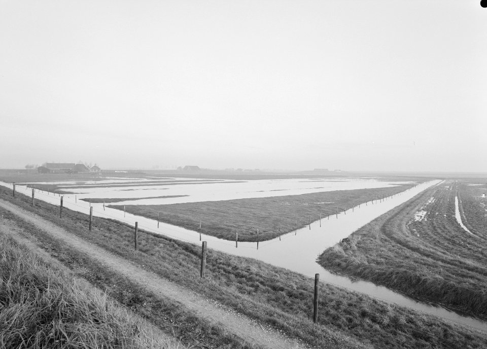 Ontginning, vee in de weide, algemene beelden, turfsteekreportage, graslanden, o, Bestanddeelnr 160-0097