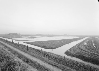 Ontginning, vee in de weide, algemene beelden, turfsteekreportage, graslanden, o, Bestanddeelnr 160-0097