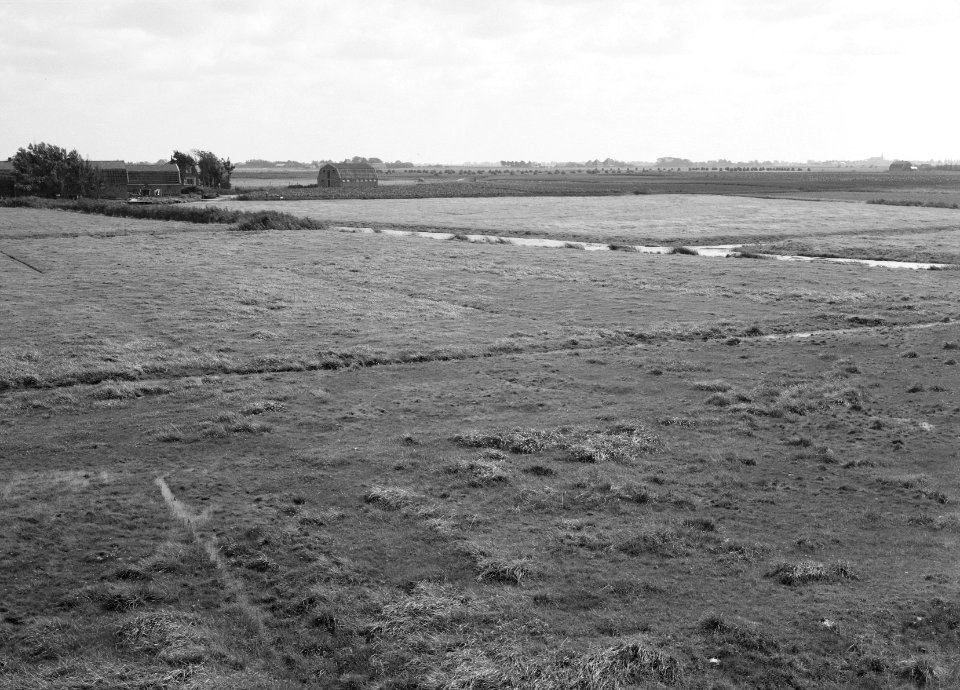 Ontginning, grondbewerking, egaliseren, bezanden, ruilverkavelingen, Ringpolder,, Bestanddeelnr 159-0389