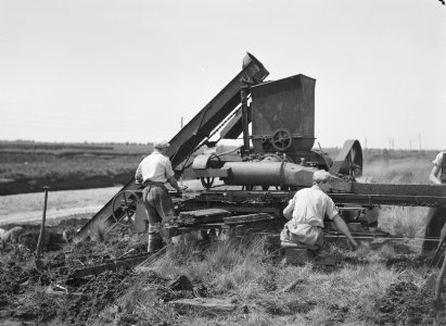 Ontginning, vee in de weide, algemene beelden, turfsteekreportage, arbeiders, De, Bestanddeelnr 160-0051