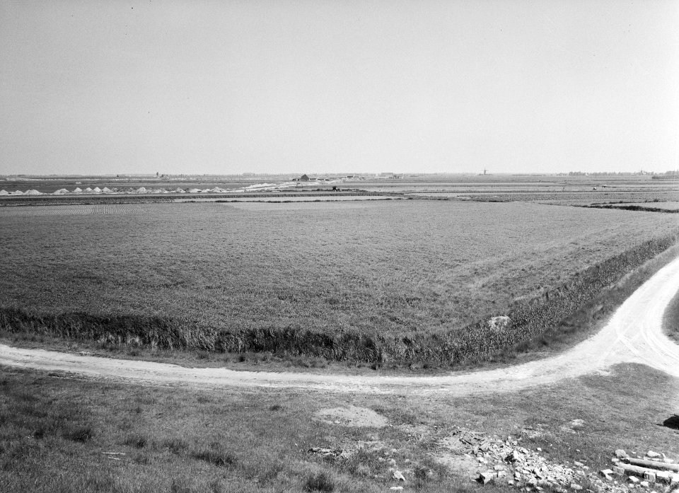 Ontginning, grondbewerking, egaliseren, bezanden, overzichten, oude polder, woud, Bestanddeelnr 159-0527