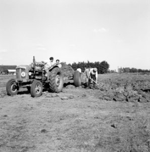 Ontginning, grondbewerking, egaliseren, bezanden, arbeiders, tractoren, barnevel, Bestanddeelnr 159-0642