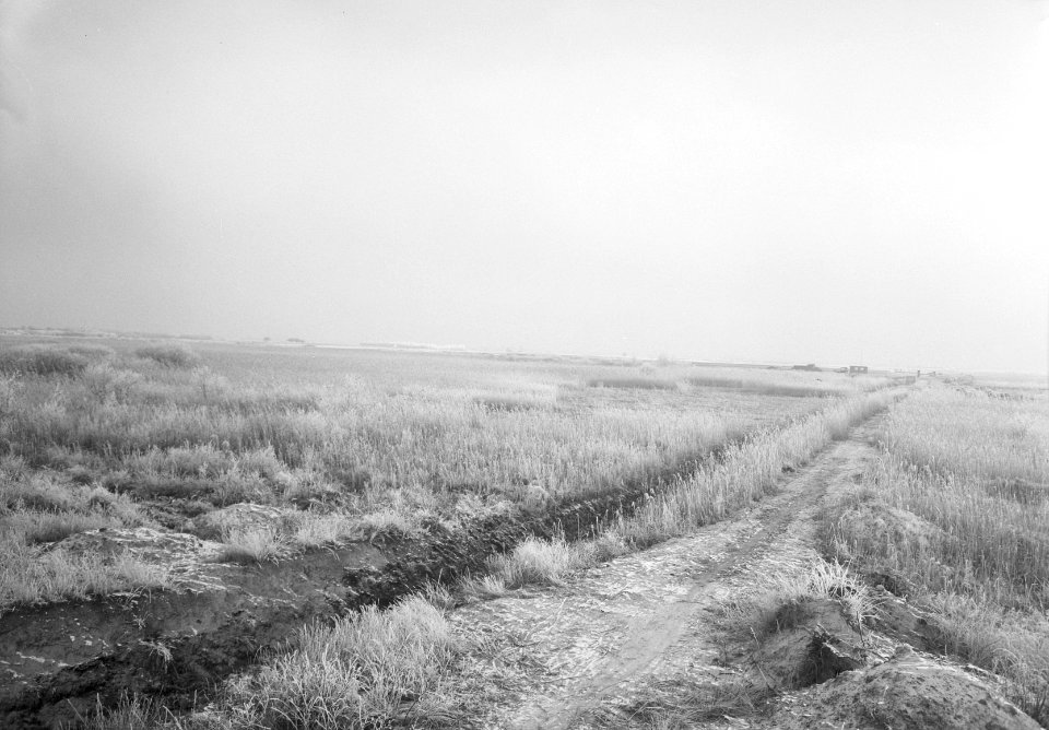Ontginning, grondbewerking, egaliseren, bezanden, overzichten, Bestanddeelnr 159-0264