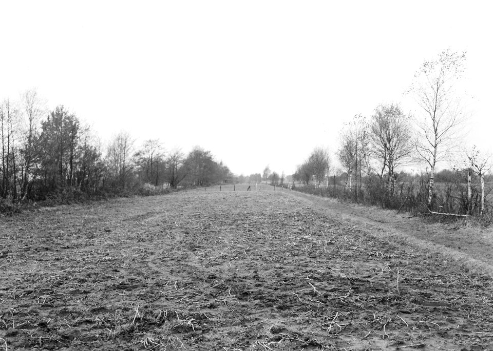 Ontginning, grondbewerking, egaliseren, bezanden, ooster achtermaten, Bestanddeelnr 159-0145