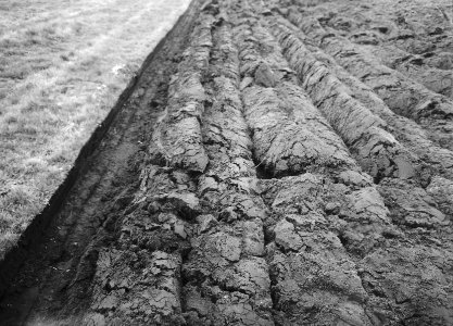 Ontginning, grondbewerking, egaliseren, bezanden, ploegen, Bestanddeelnr 159-0291