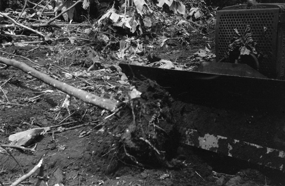 Ontginning van bosgebied, Bestanddeelnr 1964