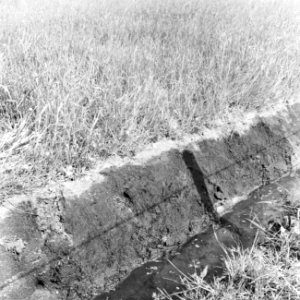 Ontginning, grondbewerking, egaliseren, bezanden, graslanden, greppels, Haerst, , Bestanddeelnr 159-0630