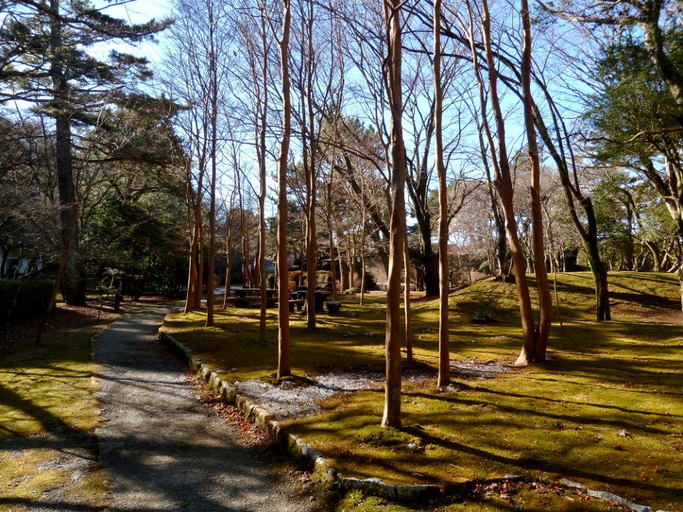 Onshi-Hakone-Park - 03