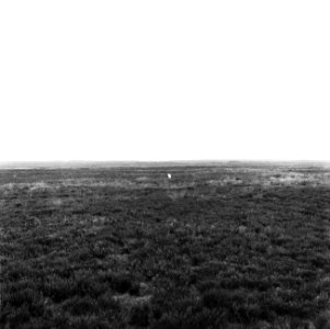 Ontginning, grondbewerking, egaliseren, bezanden, graslanden, De Wilreit, Bestanddeelnr 159-0538