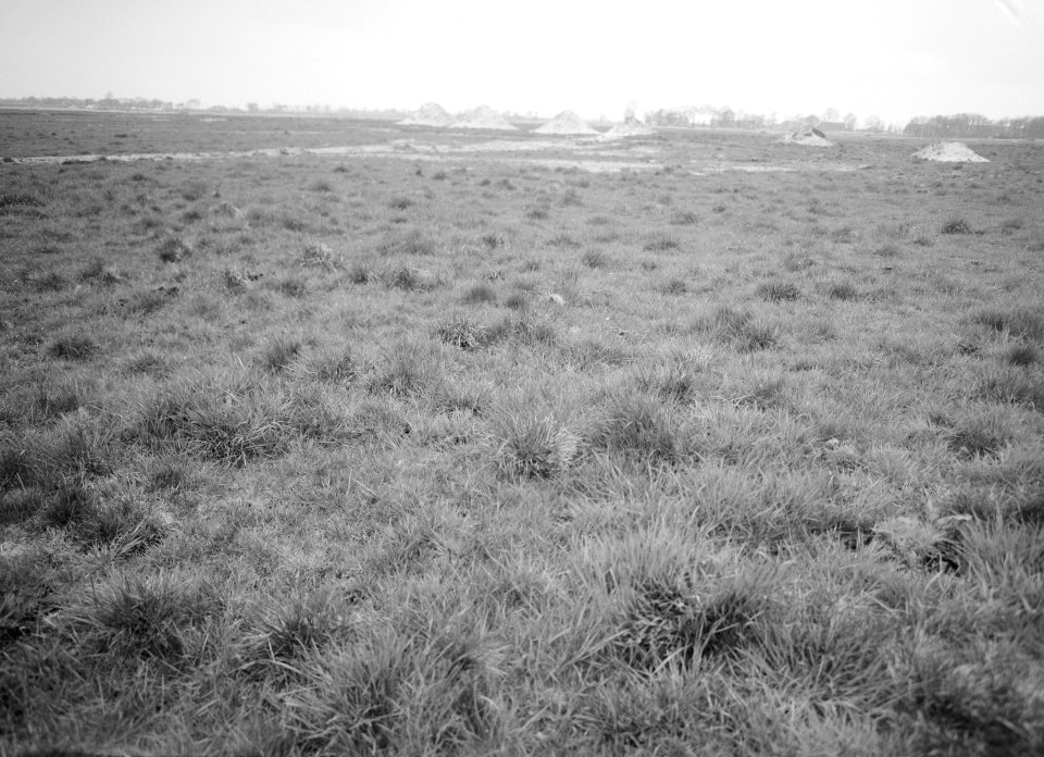 Ontginning, grondbewerking, egaliseren, bezanden, graslanden, Bestanddeelnr 159-0285